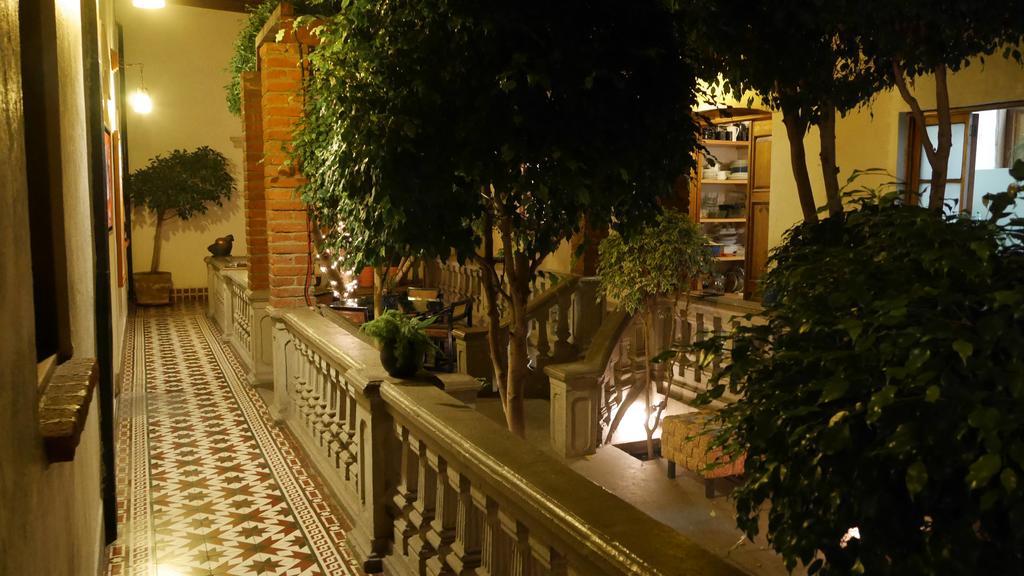 Guest House Aldama 3*